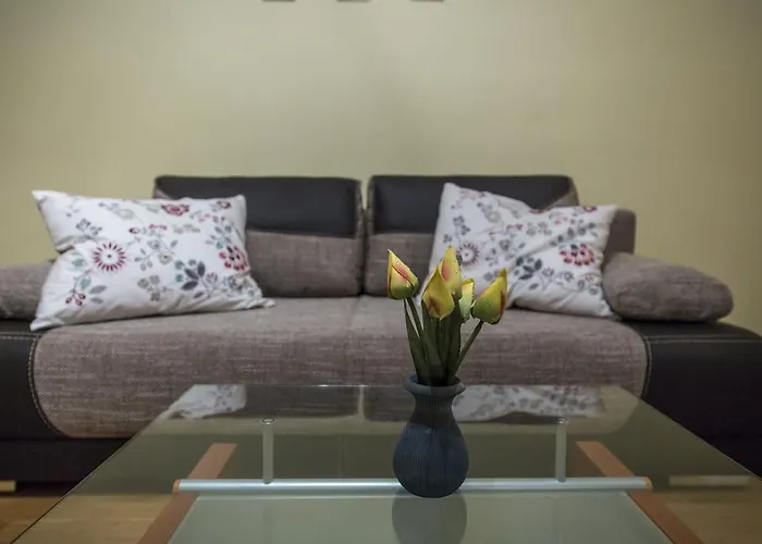 Apart4You Apartament Meteor